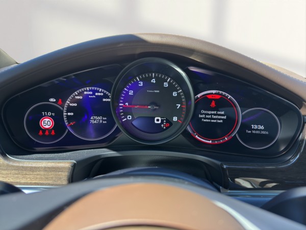 Porsche Panamera 4 Platinum Edition